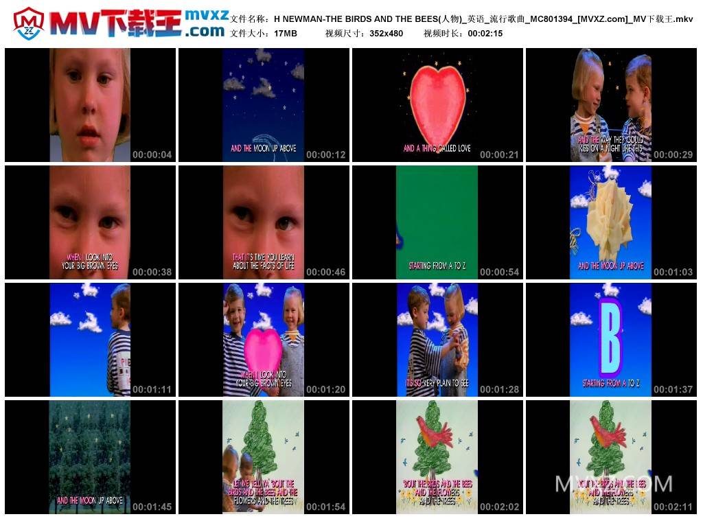 H NEWMAN-THE BIRDS AND THE BEES(人物)_英语_流行歌曲_MC801394